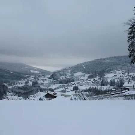 شقة Calme Avec Terrasse Pres De Gerardmer - Fr-1-589-158 لو ثولي