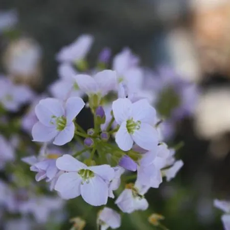 Le Tholy, 4 Pièces, 6 Personnes - Fr-1-589-158 Appartement *