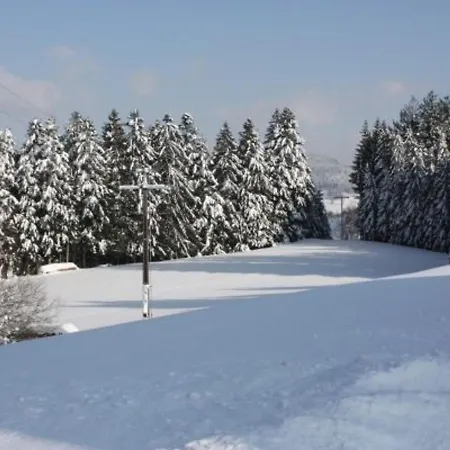 Calme Avec Terrasse Pres De Gerardmer - Fr-1-589-158 Daire *