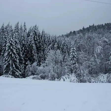 Calme Avec Terrasse Pres De Gerardmer - Fr-1-589-158 * Le Tholy