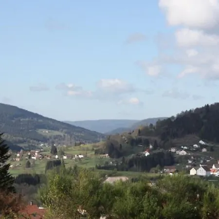 شقة Calme Avec Terrasse Pres De Gerardmer - Fr-1-589-158 *