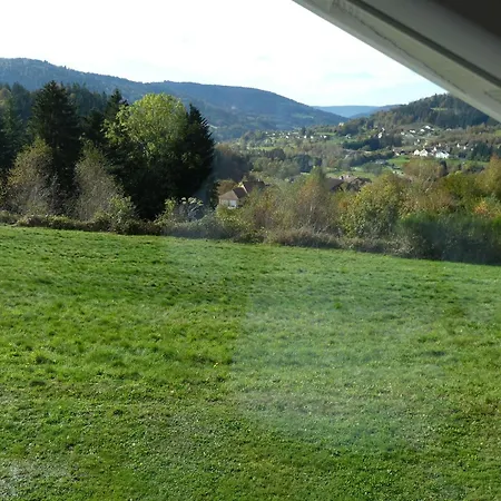 Daire Calme Avec Terrasse Pres De Gerardmer - Fr-1-589-158 *