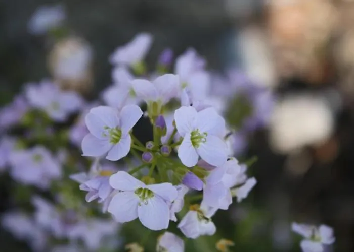 Calme Avec Terrasse Pres De Gerardmer - Fr-1-589-158 Apartmán *