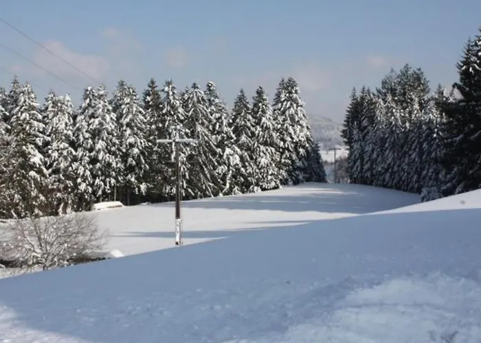 Calme Avec Terrasse Pres De Gerardmer - Fr-1-589-158 Apartmán *