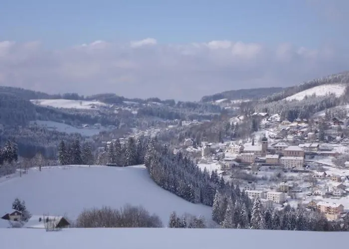 Calme Avec Terrasse Pres De Gerardmer - Fr-1-589-158 *