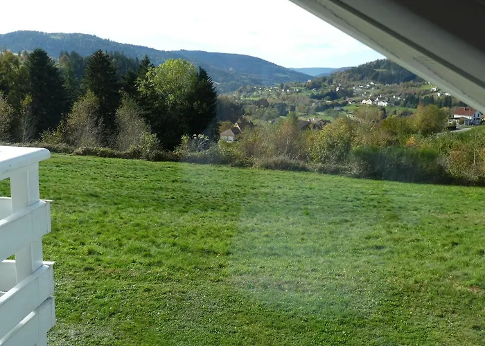 Apartmán Calme Avec Terrasse Pres De Gerardmer - Fr-1-589-158 *